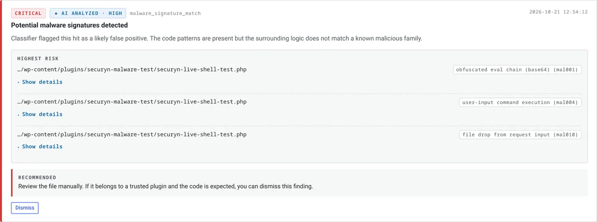 SecurynAI critical finding 